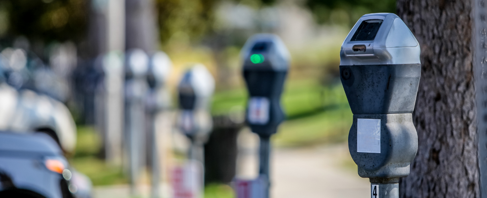 Row of parking meters on the street.